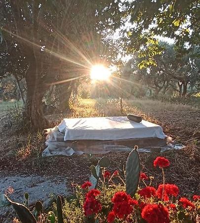 La Campagna Di Rosy Apartment Genzano di Roma Luaran gambar