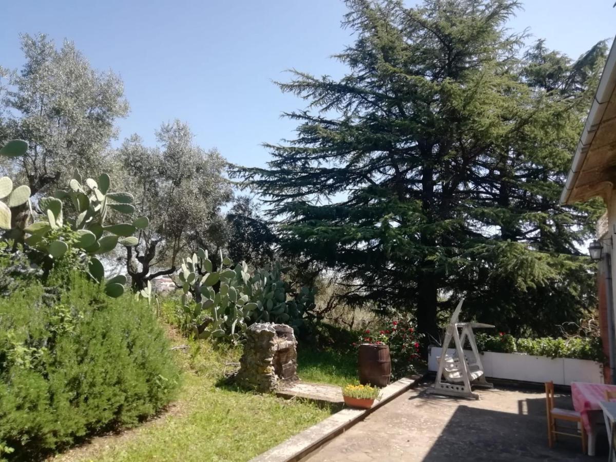 La Campagna Di Rosy Apartment Genzano di Roma Luaran gambar