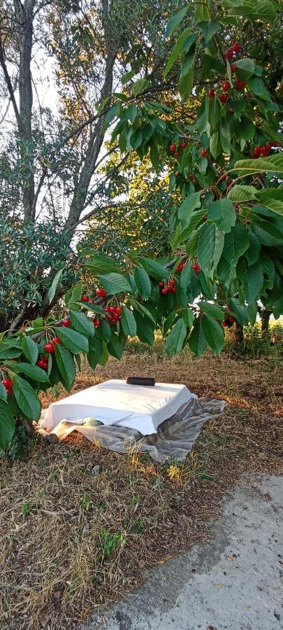 La Campagna Di Rosy Apartment Genzano di Roma Luaran gambar